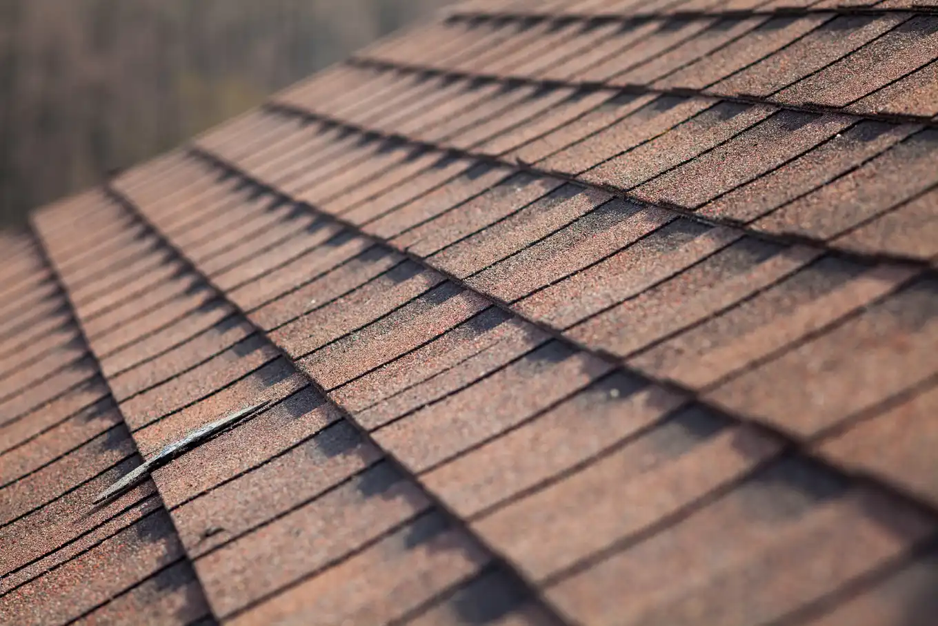 Close-up of asphalt shingles on a roof